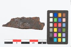 Foto von Eisengriffangelmesser (NHMW-PRAE-026502)